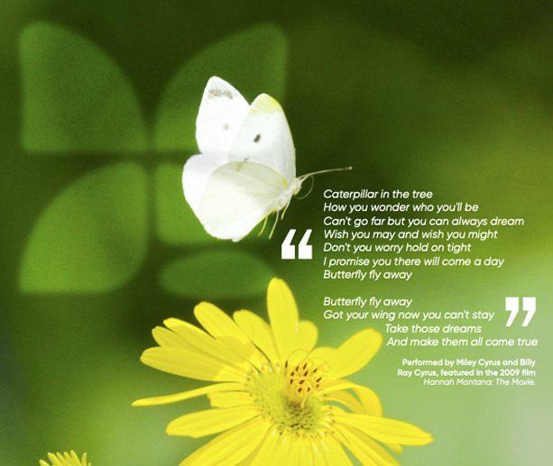 Nurturing Little Minds – option 1